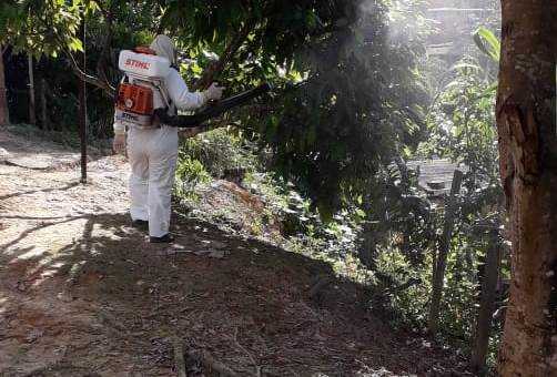 Camacã: combate a Dengue em plena pandemia do coronavírus
